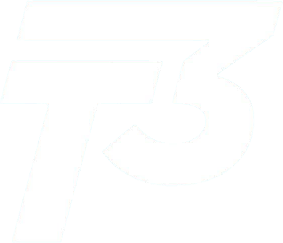 T3